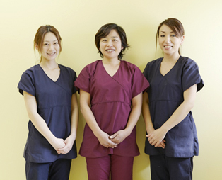 湘南歯科医院staff